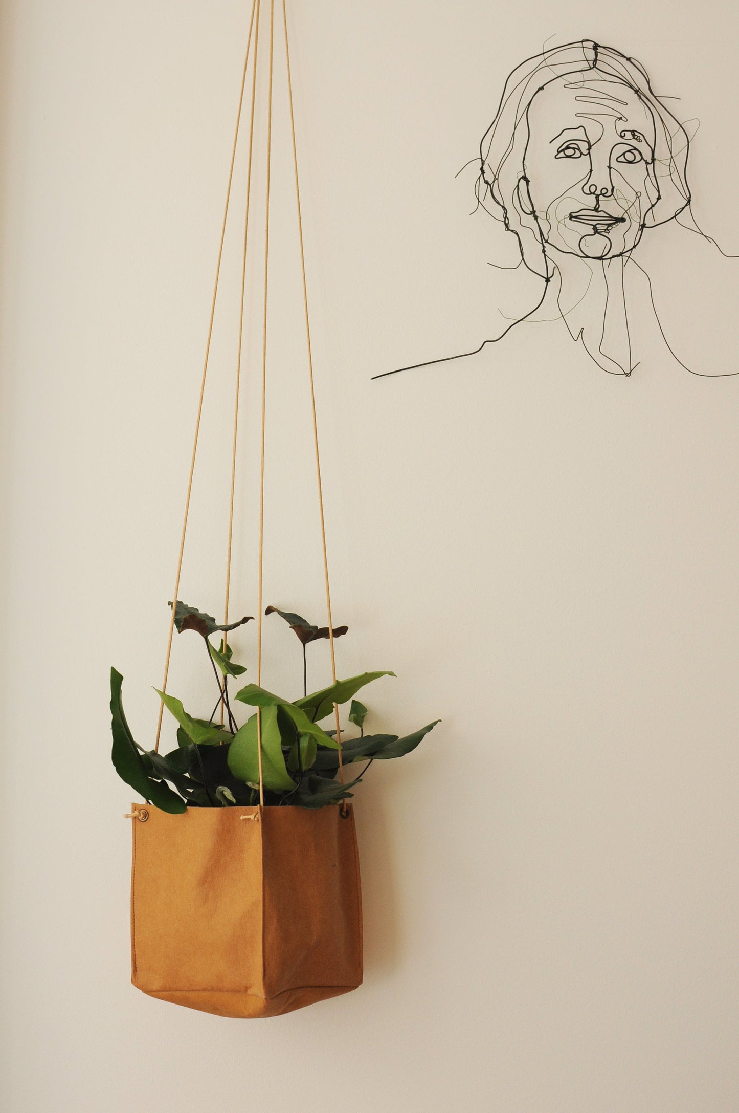 Planter, hanging paper planter made from washable paper