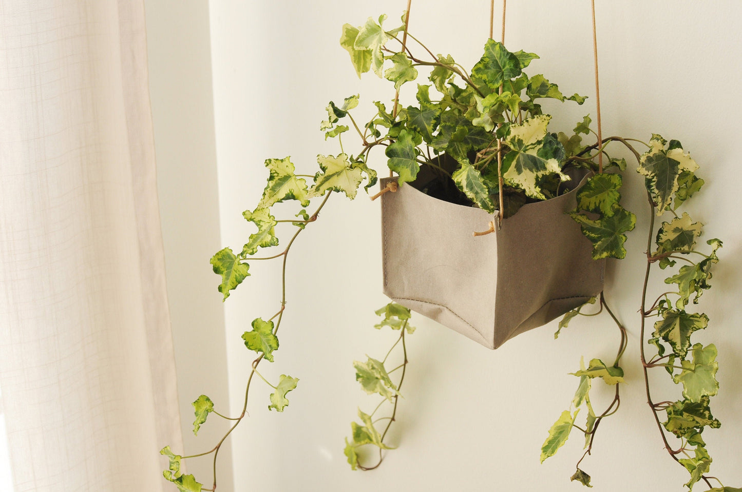 Planter, hanging paper planter made from washable paper